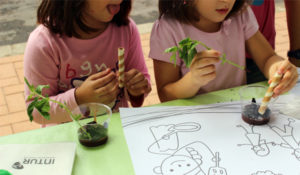 taller infantil, crea tu planta comestible, intur colectividades