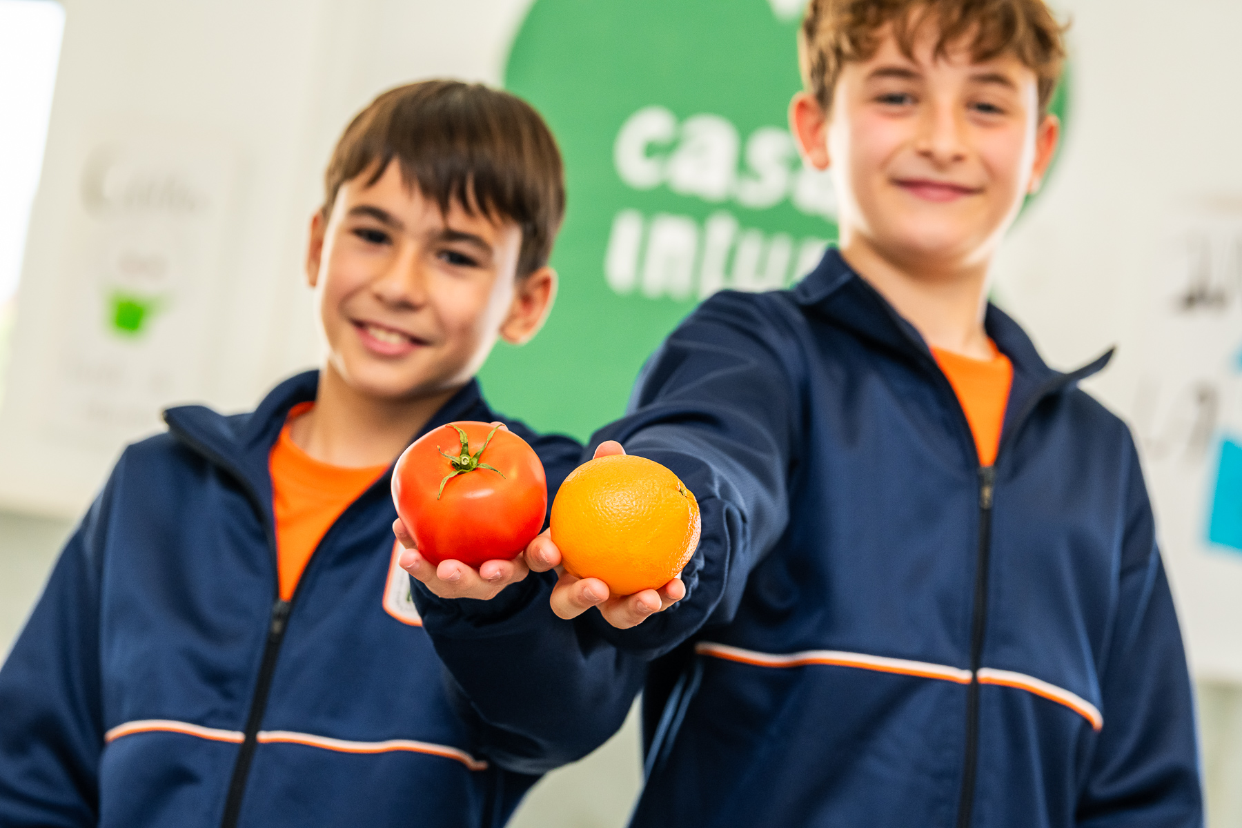 alimentos menús colegios